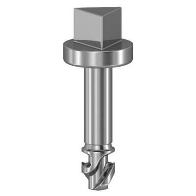 "Triangular screws, Ã˜6.5 mm, for SBM boxes" - Schneider Electric - NSYAEDSTSB