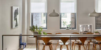 Lighting Systems, Shades and Controls